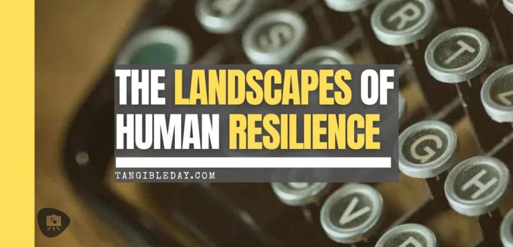 The Landscapes of Human Resilience - banner feature image