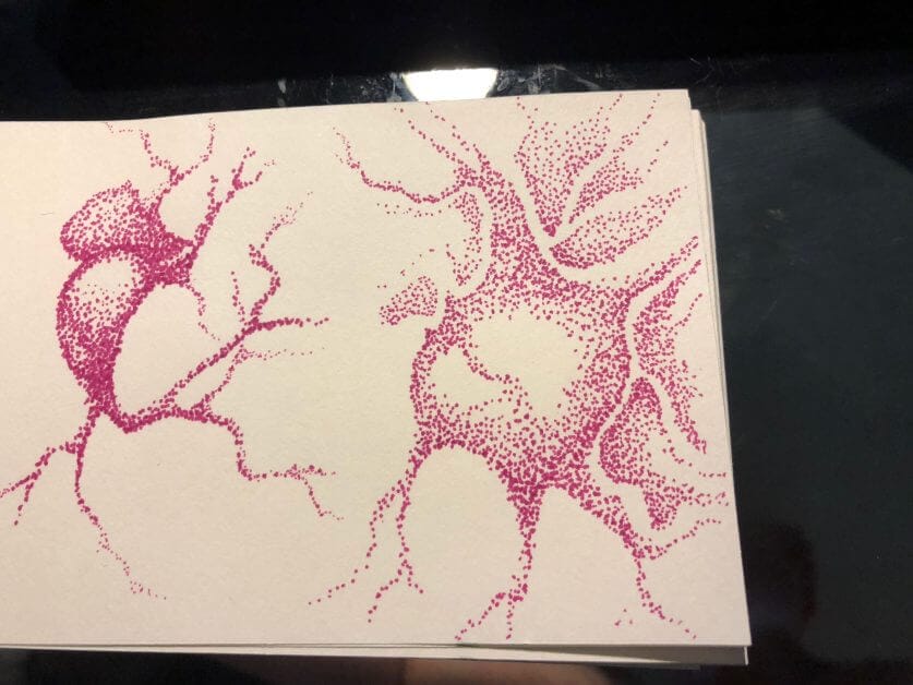 Sketching for Science: Neurons in Fountain Pen Ink