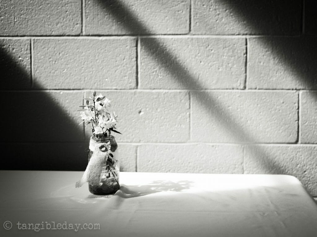 Redgrass games desk lamp review, redgrass games lamp review for painting miniatures, models, and art - Light and shadow black and white photo with flower pot and brick wall