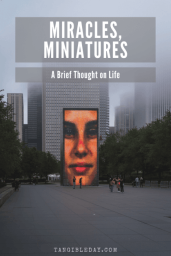 miracles and miniatures - life in miniature