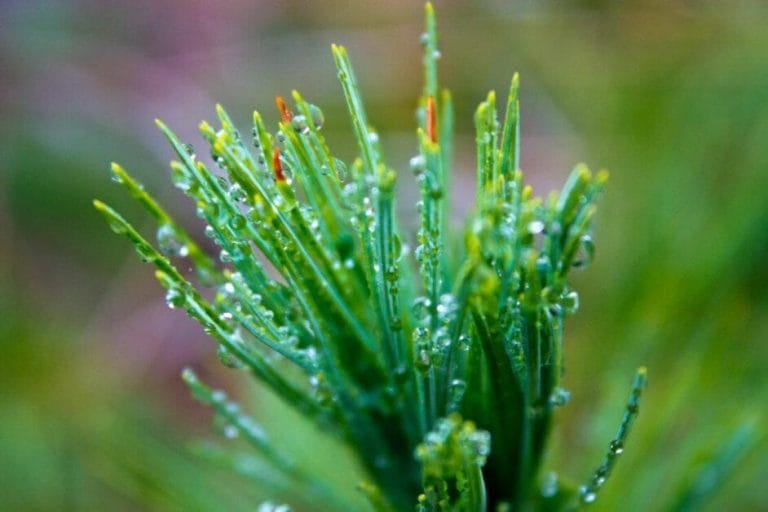 Bad weather photography ideas - landscape photography in bad weather -landscape photos in the rainy weather - landscape photography in the rain - rain photography ideas - overcast landscape photography - how to take better photos in bad weather