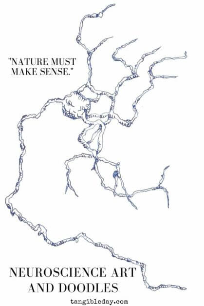 neuron doodles and art - drawing neurons and neuroscience art - the secret of complexity - a neuron grows from nothing - a drawing with pen and paper- nature must make sense