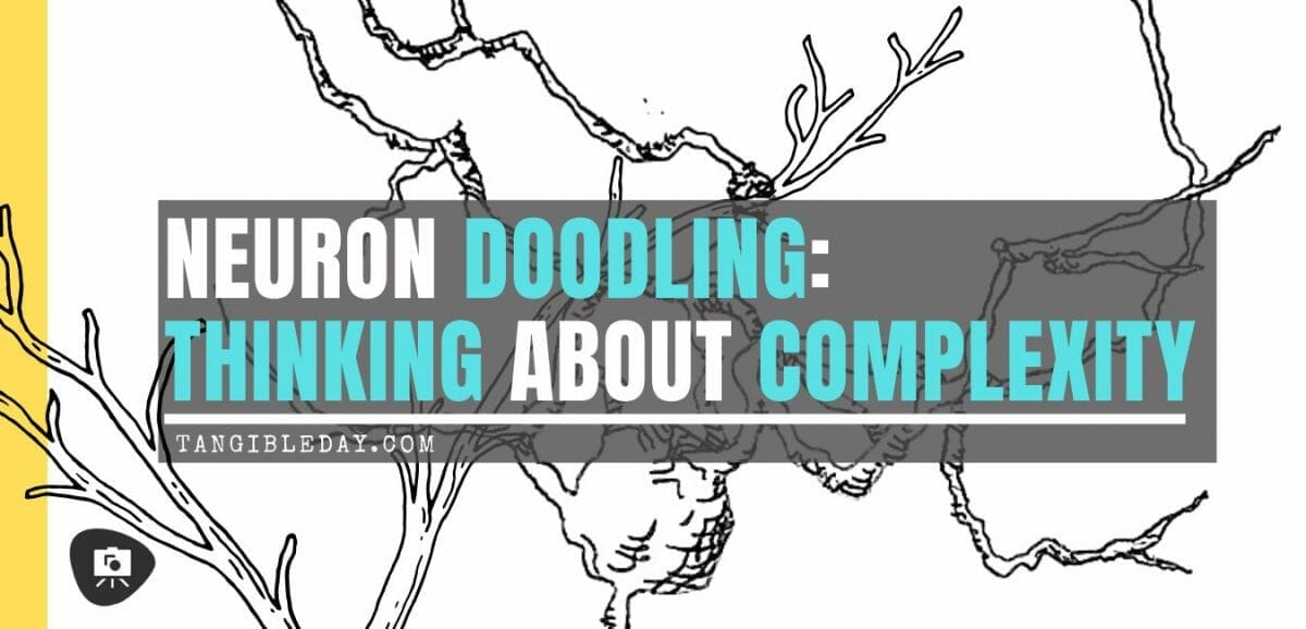 Neuron Doodling: Thinking About Complexity