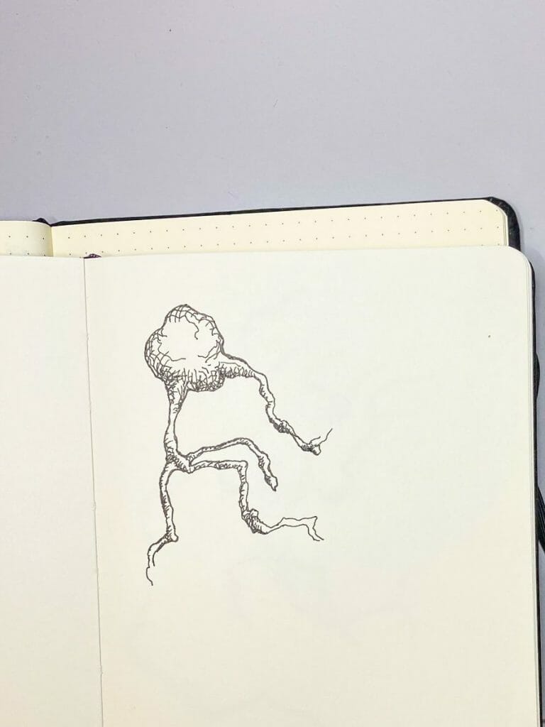 neuron doodles and art - drawing neurons and neuroscience art - the secret of complexity - a neuron grows from nothing - a drawing with pen and paper