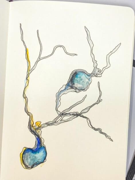 neuron doodles and art - drawing neurons and neuroscience art - the secret of complexity - a neuron grows from nothing - a drawing with pen and paper- nature must make sense - experimenting with color and pens 