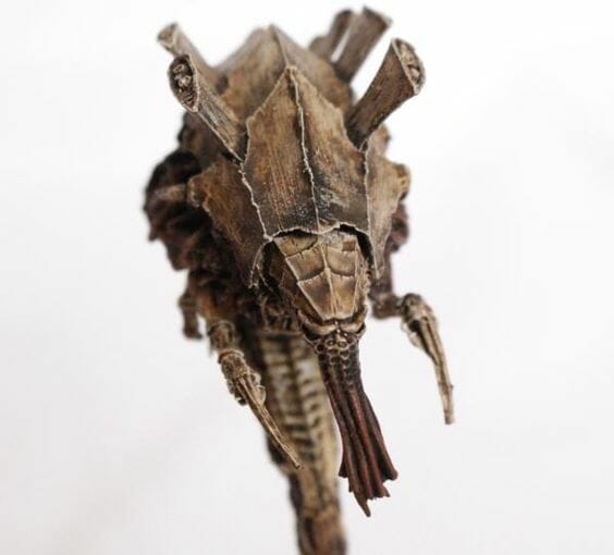 Tyranid color paint schemes – how to paint tyranids – tyranid paint schemes – tyranid army scheme – tyranid color scheme – How to choose Tyranid army color scheme – Tyranid Warhammer 40k colors – Hive fleet color schemes – Hive fleet paint scheme – brown washed armor