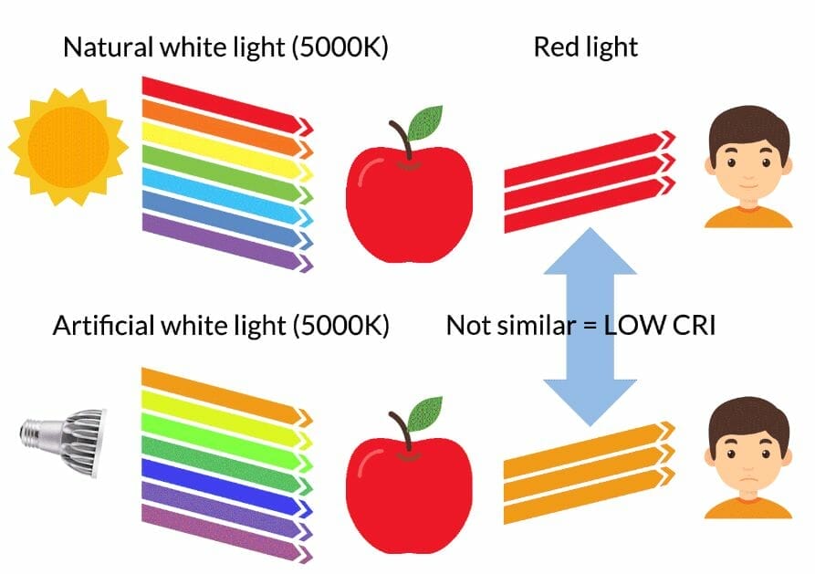 iagram comparing natural white light and artificial light with low CRI using an apple and skin tone as examples