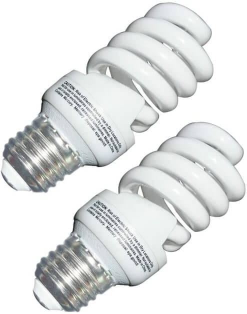 Compact fluorescent light bulbs used for daylight studio lighting