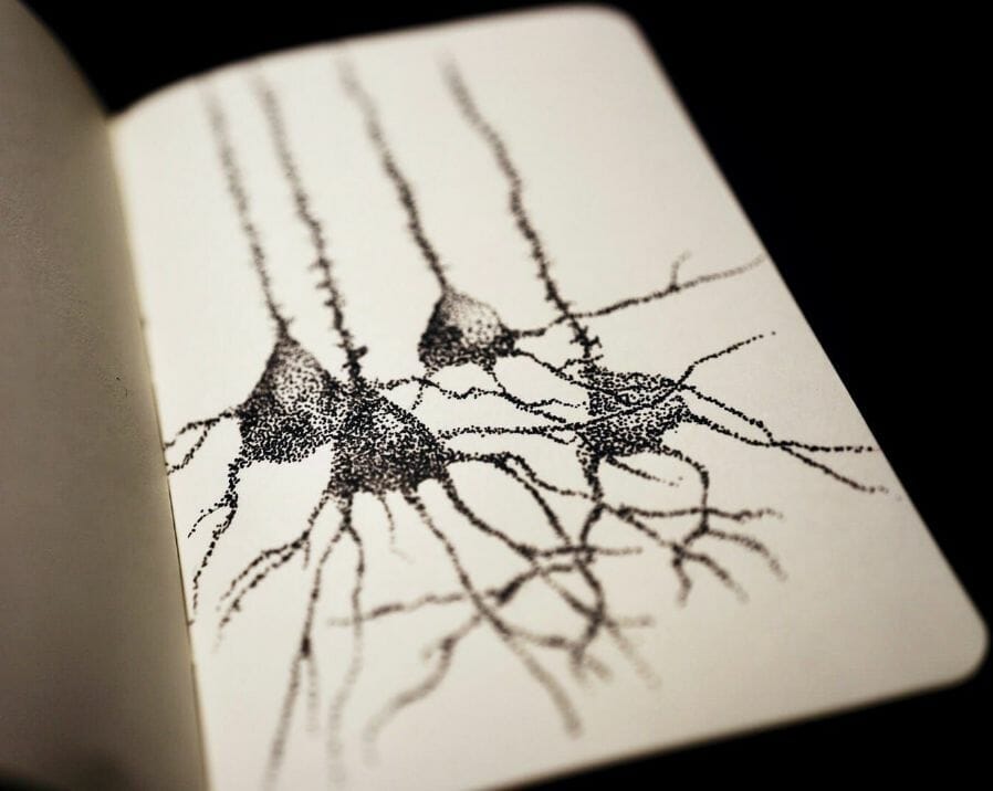 learning to draw again - doodling and discovery - pyramidal neuron sketch and doodling - shallow depth of field
