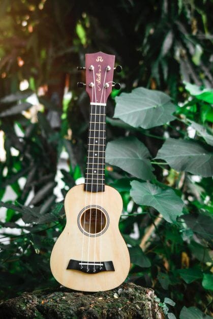 ukulele placed on stone in garden with green plants - Spell Casters with Attitude: Bards
