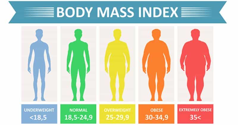 Is Miniature Painting a Fat Trap or Healthy Hobby? - body mass index image chart