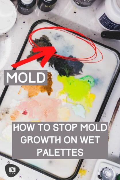 How to Prevent Wet Palette Mold (Tips, Guide) - mold arrow and circle