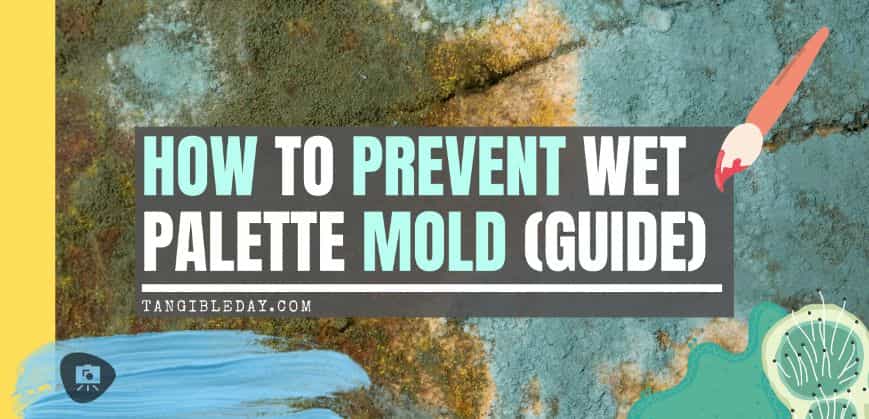 How to prevent mold growth on a wet palette -Wet palette mold banner image