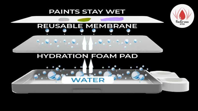 WetNDri Paint Tray Review: Best Alternative to the RGG Everlasting Wet Palette? - Wet palette review - how a wet palette works