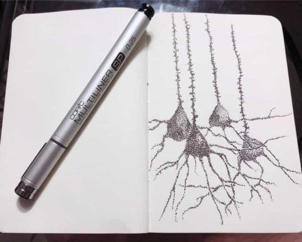 About Tangible Day - doodle of neurons