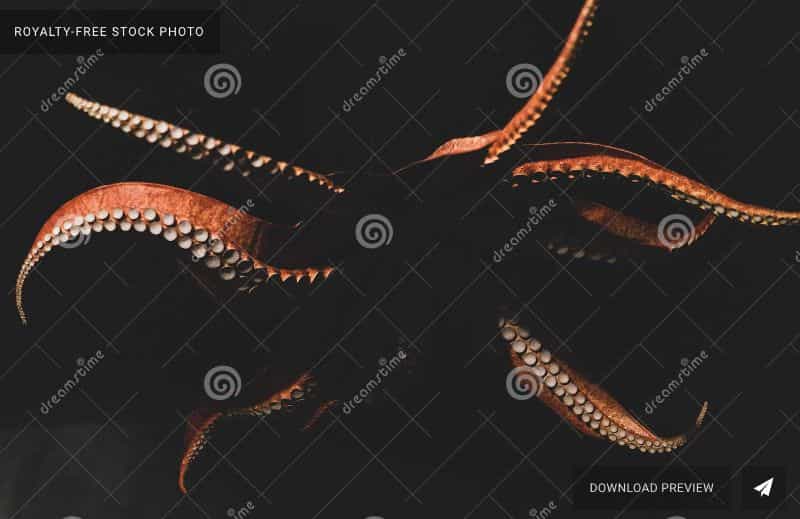 Overcoming fear as a new stock photographer - fear of stock photography - miniature photography starting tips - tentacles coming out of the dark