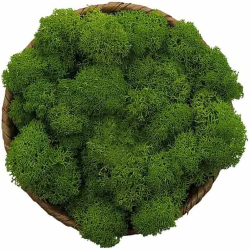 Miniature Basing Materials for Model Hobby Projects (Tips and Review) - best basing material for miniatures and models - dark green Island moss synthetic material clumped together