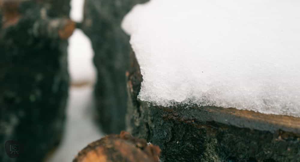 What is "Learned Helplessness"? Insights for Artists - close up of melting snow on a wooden log
