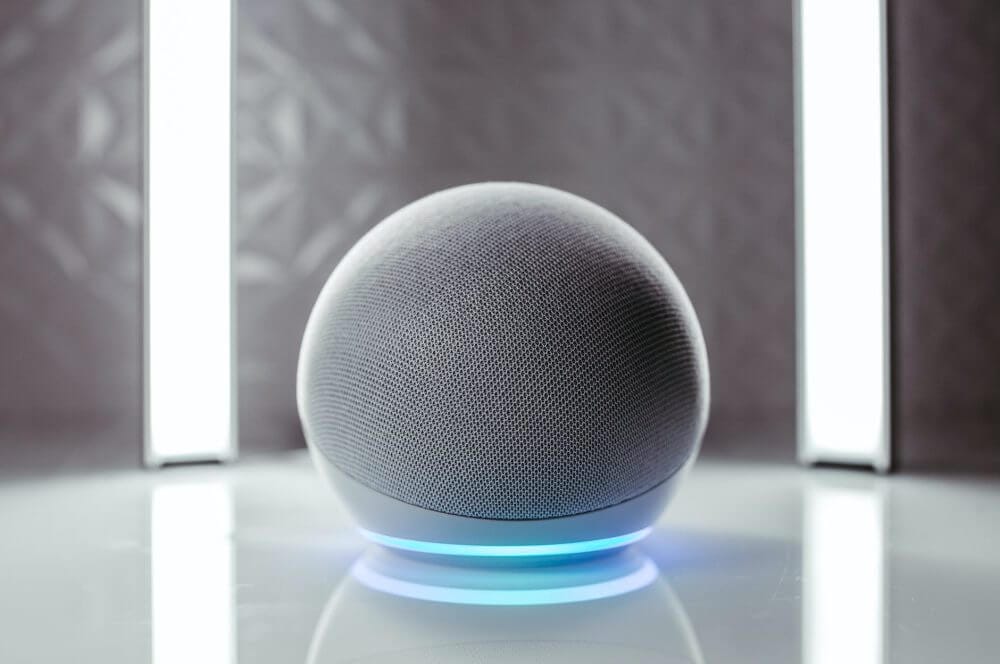 close up photo of gray round speaker for Alexa