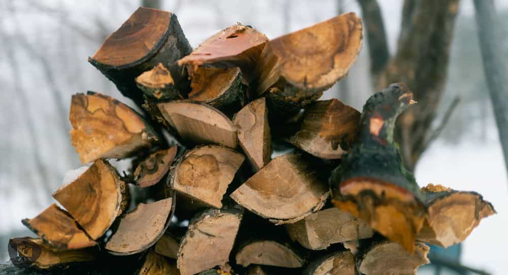 What is "Learned Helplessness"? Insights for Artists - a stack of split firewood in winter