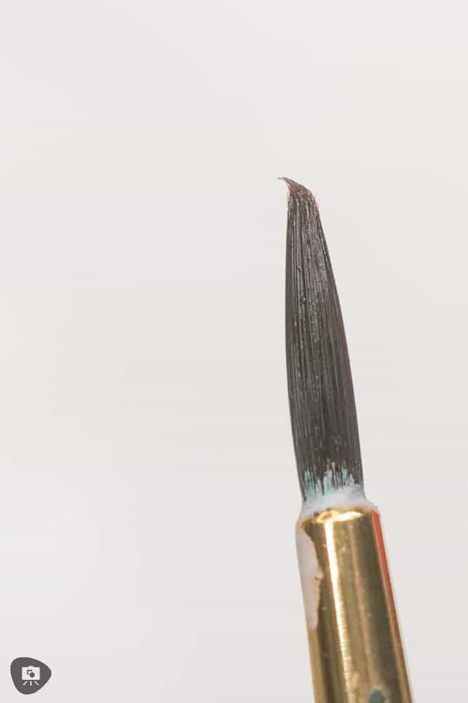 Miniature Paint Brush Care Tutorial - how to care for brushes for miniature painting - Curled hairs bristles on a synthetic paint brush, macro photo