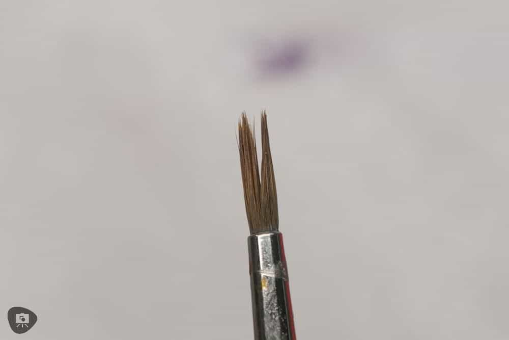 Miniature Paint Brush Care Tutorial - how to care for brushes for miniature painting - split hairs bristles on a synthetic paint brush close up